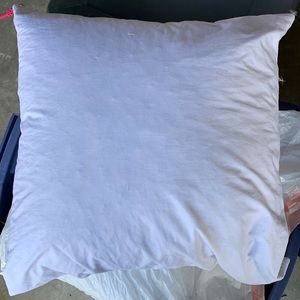 Two 22”x22” Down Pillows (no covers- inserts only)